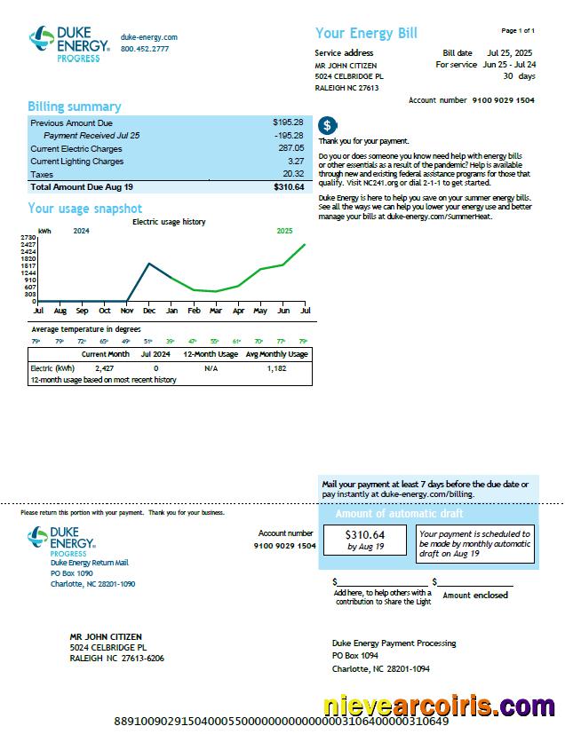 USA Duke Energy utility bill, version 3